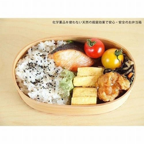Odate Kogei Akita Cedar Magewappa Bento Box 640ml Made in Japan