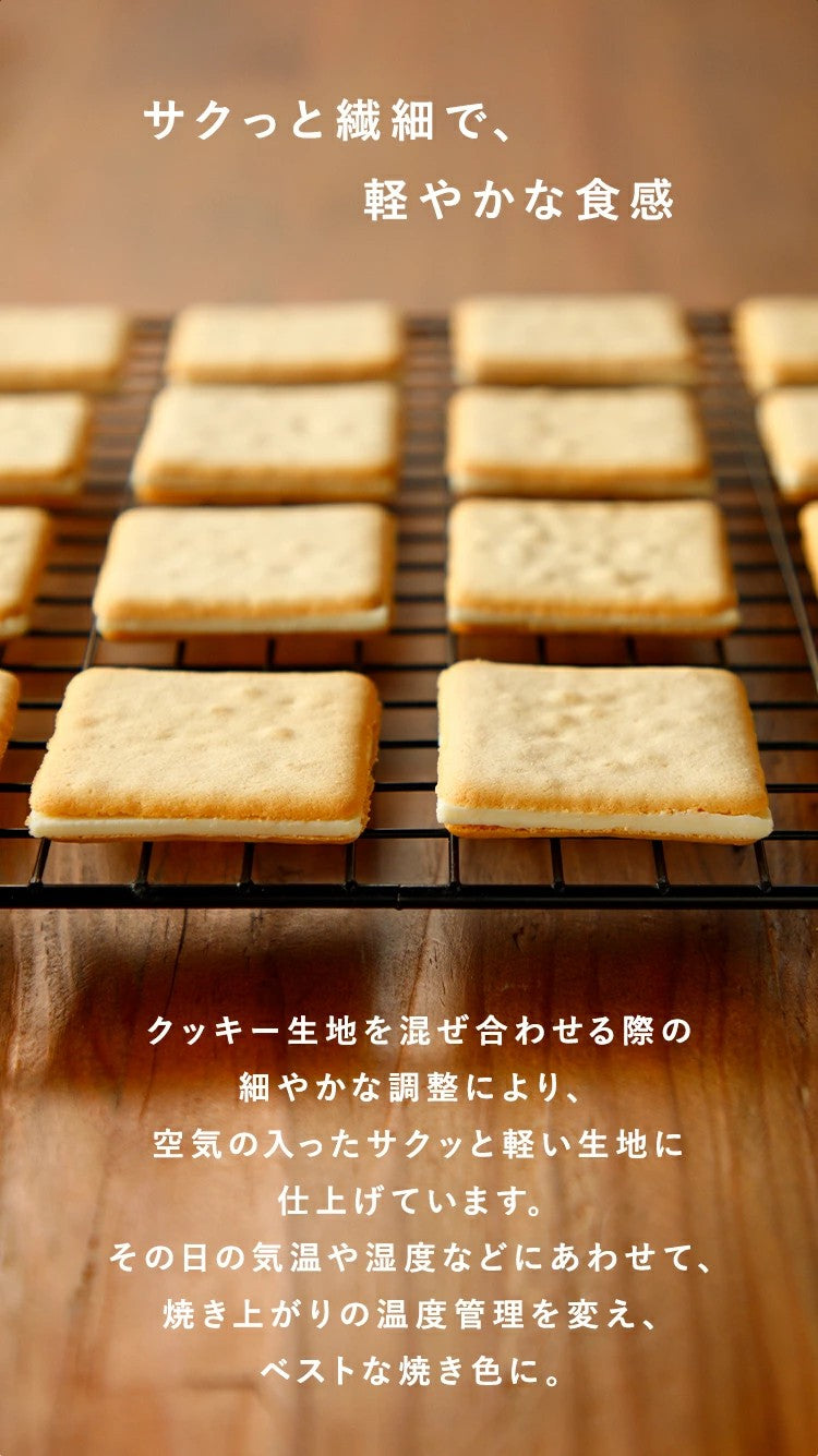 The Maple Mania Maple Butter Cookies 32pcs Premium Japanese Maple Sweets Made in Japan