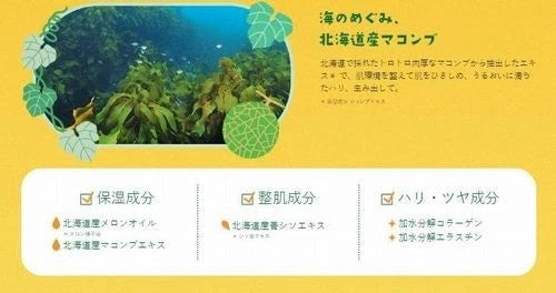 LuLuLun Hokkaido Limited Melon Face Mask 7 Sheets x5 Made in Japan