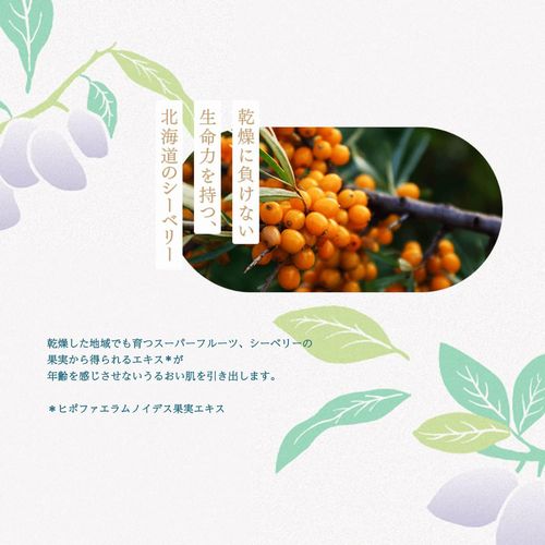 Lululun Hokkaido Limited Premium Face Mask Haskap Scent 1 Sheets x5 Japanese Skincare